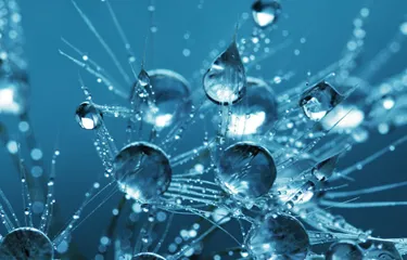 nano bubbles